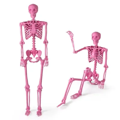 160 CM Halloweenská kostra v životní velikosti, polohovatelná kostra s pohyblivými klouby, halloweenská dekorace růžová
