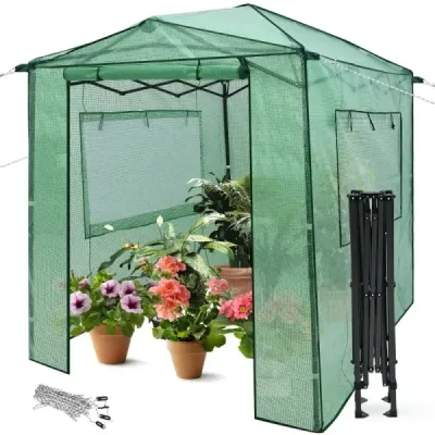 Přenosný výsuvný skleník Walk-in zahradní skleník 180 x 250 x 230 cm Zelený