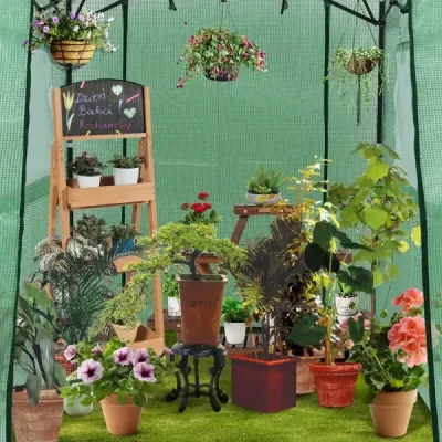 Přenosný výsuvný skleník Walk-in zahradní skleník 180 x 250 x 230 cm Zelený