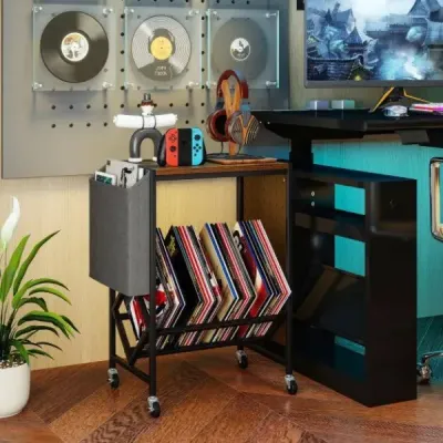 Stojan na gramofonové desky s kolečky, stolek na vinylové desky s úložným prostorem a držákem na časopisy, rustikální hnědý