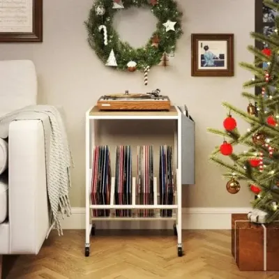 Stojan na přehrávač vinylových desek Vinyl record table with vinyl storage & magazine holder Příroda