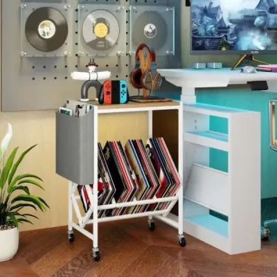 Stojan na přehrávač vinylových desek Vinyl record table with vinyl storage & magazine holder Příroda