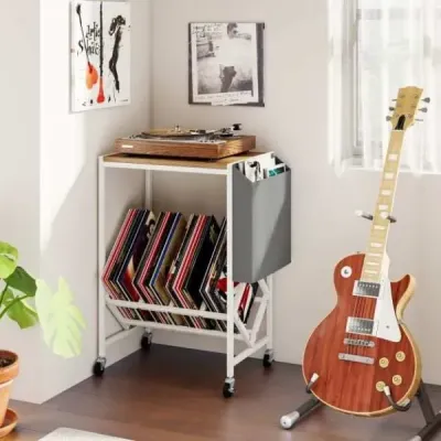Stojan na přehrávač vinylových desek Vinyl record table with vinyl storage & magazine holder Příroda