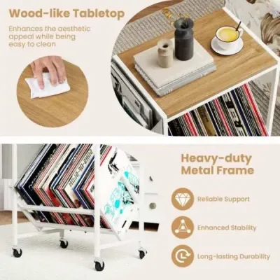 Stojan na přehrávač vinylových desek Vinyl record table with vinyl storage & magazine holder Příroda