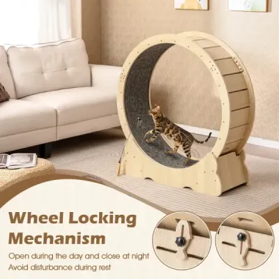 101 cm velký tréninkový pás pro kočky s uzamykatelným mechanismem, přírodní