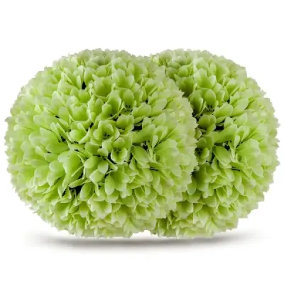 2 koule ze zimostrázu UV odolné dekorativní koule topiary umělá rostlina dekorativní rostlina Ø28 cm zelená