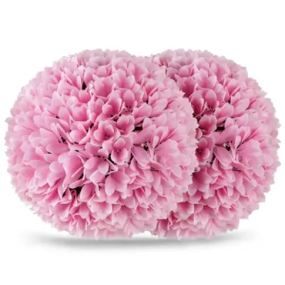 2 koule ze zimostrázu UV odolné dekorativní koule topiary umělá rostlina dekorativní rostlina Ø28 cm růžová
